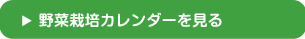 野菜栽培カレンダーを見る