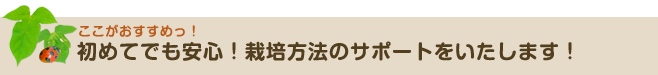 初めてでも安心！栽培方法のサポートをいたします！