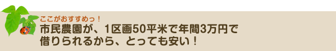 市民農園が、1区画50平米で年間3万円で借りられるから、とっても安い！