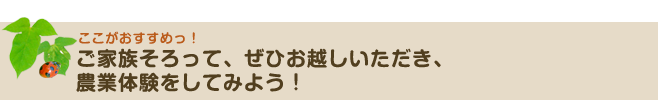 家族そろって、ぜひお越しいただき、農業体験をしてみよう！