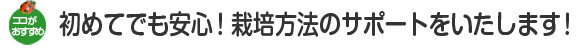 初めてでも安心！栽培方法のサポートをいたします！