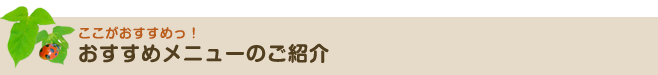 おすすめメニューのご紹介